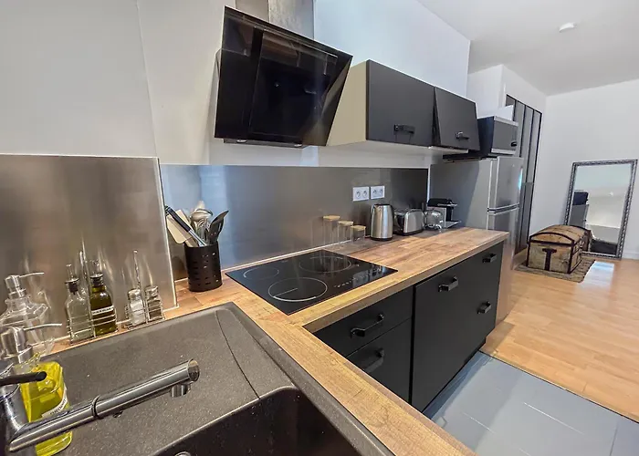 Apartment T2 Spacieux & Lumineux Hyper Centre Angers